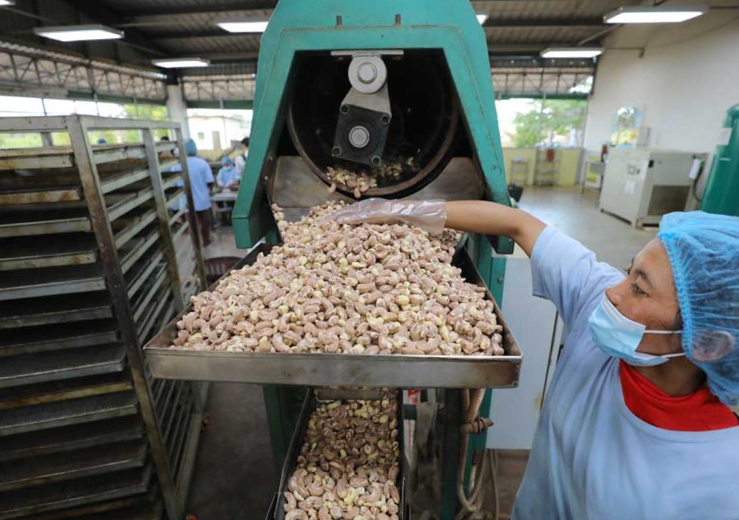 Food-processing production-line illustration