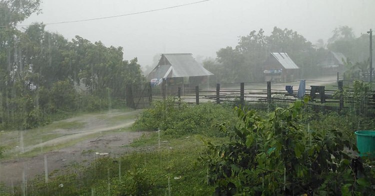 Rain scene accompanying the contemporaneous report; the publisher did not specify when or where it was photographed.